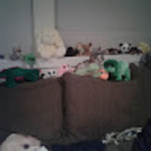 Meet your Posher, Elizabeth